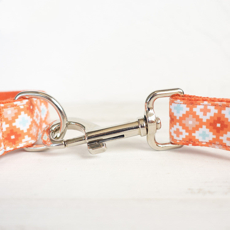 The Essential Pet Gear: Thickened Pet Leash And Tie Out Set