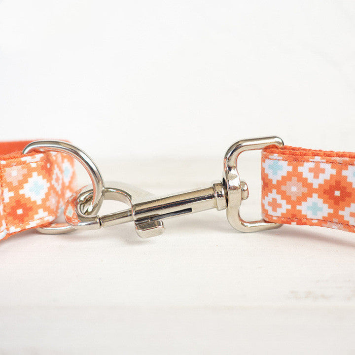 The Essential Pet Gear: Thickened Pet Leash And Tie Out Set
