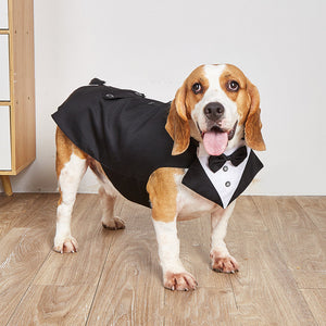 Dress Your Pet for the Occasion with Our Pet Swallowtail Wedding Suit Jacket