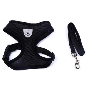 Secure Your Pet's Safety with Our Pet Car Seat Belt Pet Leash