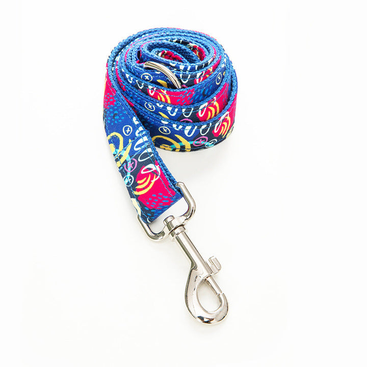Elevate Your Pet's Style with the Graffiti Pet Collar Leash Set
