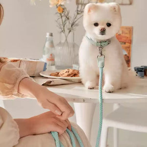 Elevate Your Pet's Style with Our Leather Pet Collar and Handheld Leash Set